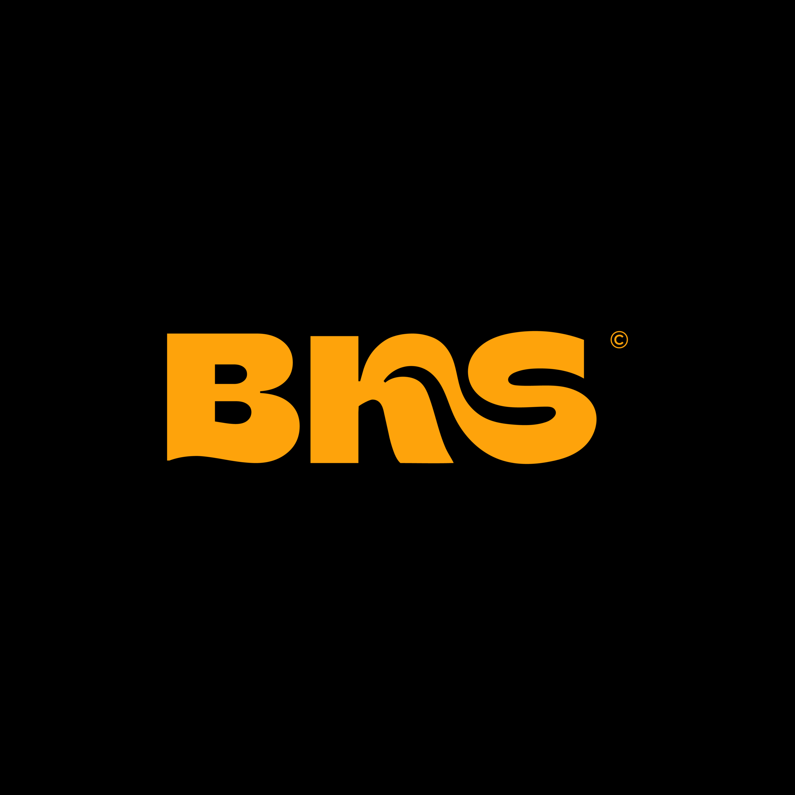 Grupo BKS